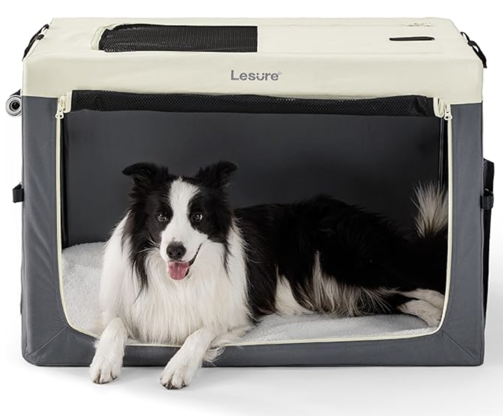 black and white dog in kennel